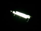 dscn0768.jpg